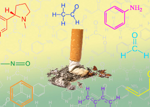 NicoZero blocchi la sensibilità dei recettori per la nicotina